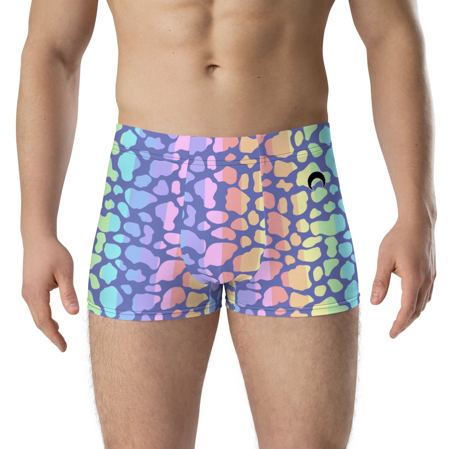 Pastel Rainbow Cow Print Boxer Briefs