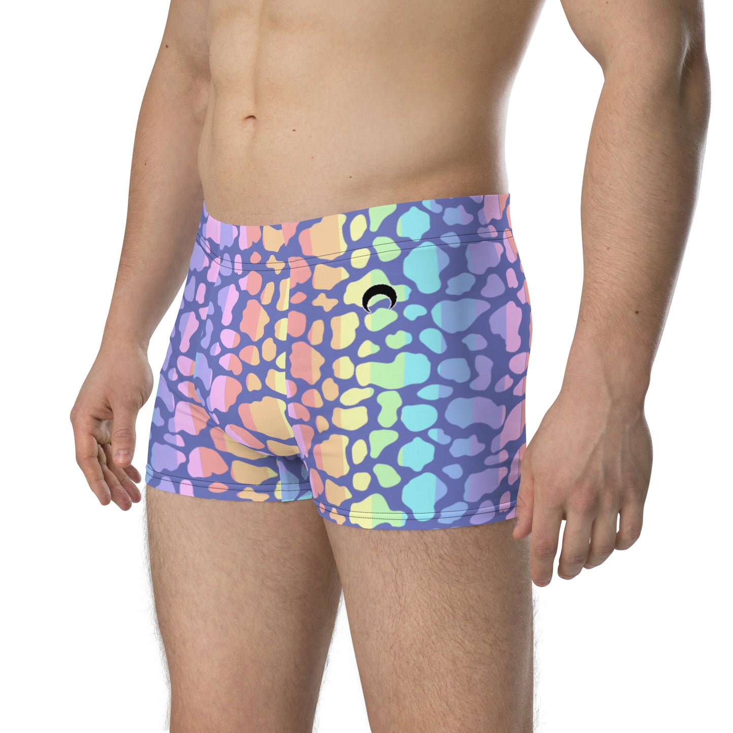 Pastel Rainbow Cow Print Boxer Briefs