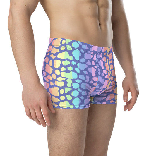 Pastel Rainbow Cow Print Boxer Briefs